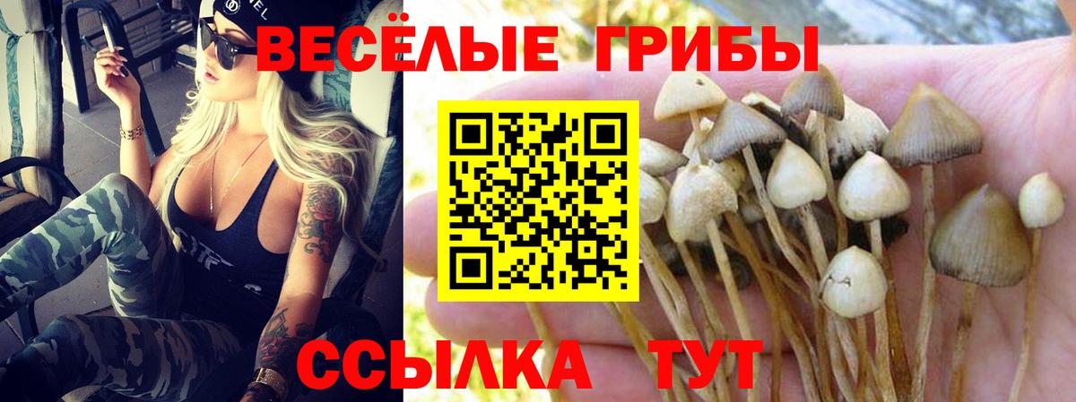 наркотики  Галлюциногенные грибы Cubensis  Рубцовск  Вход с VPN  Псилоцибиновые грибы мухоморы 